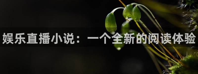 upload/20250701114914.jpg
