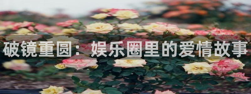 upload/20250701114914.jpg